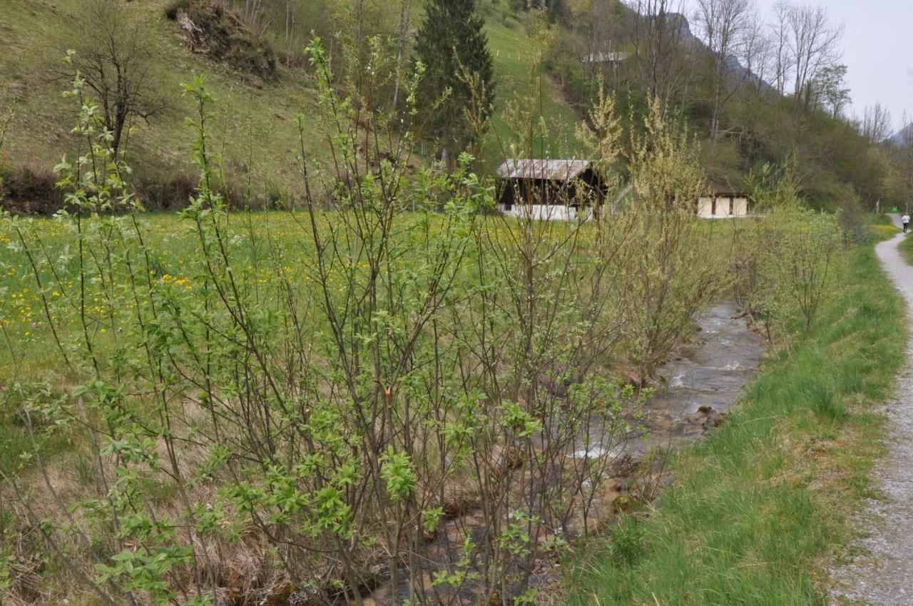 Ferienwohnungen Alter Raaben Ruti  Exterior photo